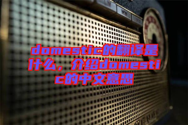 domestic的翻譯是什么，介紹domestic的中文意思