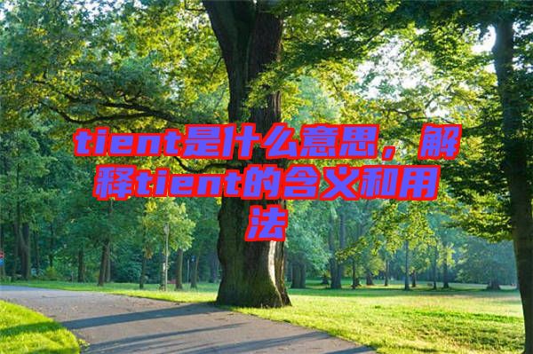 tient是什么意思，解釋tient的含義和用法