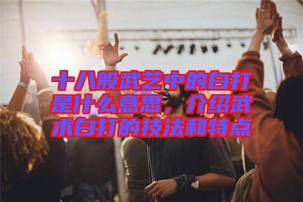 十八般武藝中的白打是什么意思，介紹武術(shù)白打的技法和特點(diǎn)