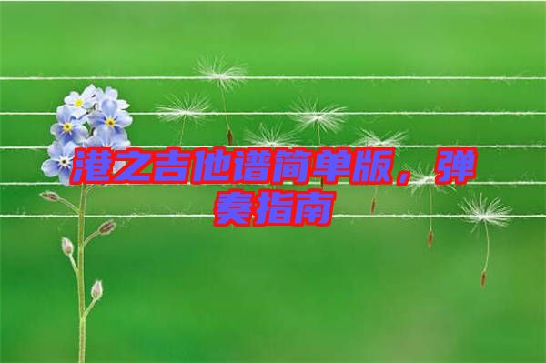 港之吉他譜簡(jiǎn)單版，彈奏指南