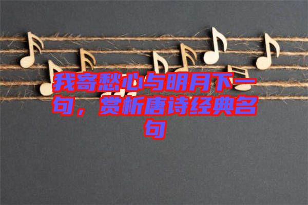 我寄愁心與明月下一句，賞析唐詩(shī)經(jīng)典名句