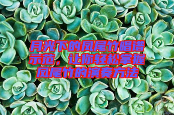 月光下的鳳尾竹唱譜示范，讓你輕松掌握鳳尾竹的演奏方法