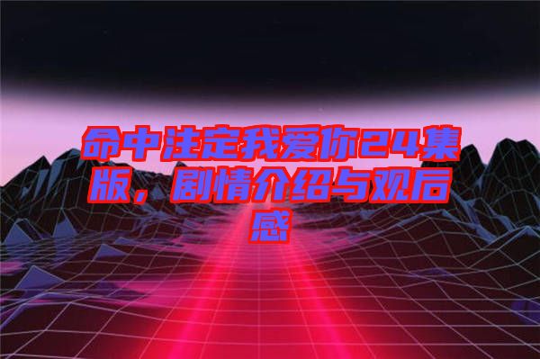 命中注定我愛你24集版，劇情介紹與觀后感