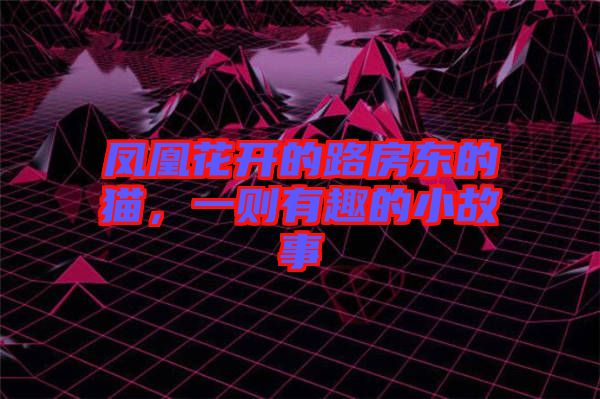 鳳凰花開的路房東的貓，一則有趣的小故事