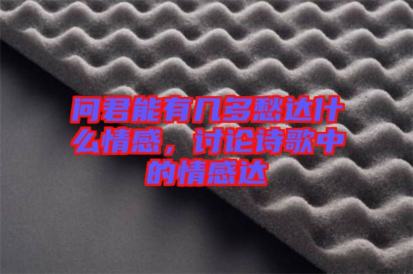 問君能有幾多愁達(dá)什么情感，討論詩歌中的情感達(dá)