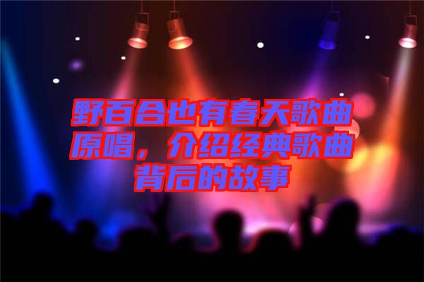 野百合也有春天歌曲原唱，介紹經(jīng)典歌曲背后的故事