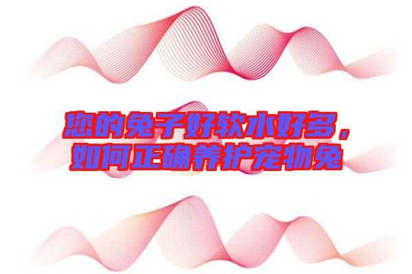 您的兔子好軟水好多，如何正確養(yǎng)護(hù)寵物兔