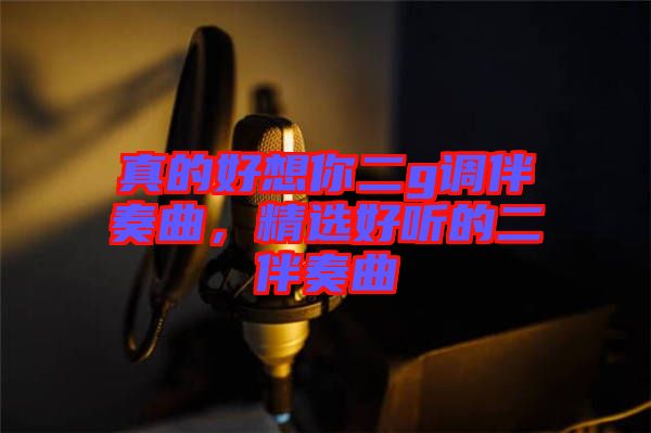 真的好想你二g調(diào)伴奏曲，精選好聽的二伴奏曲