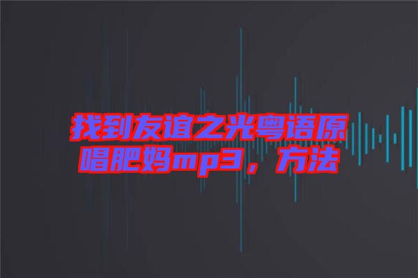 找到友誼之光粵語(yǔ)原唱肥媽mp3，方法