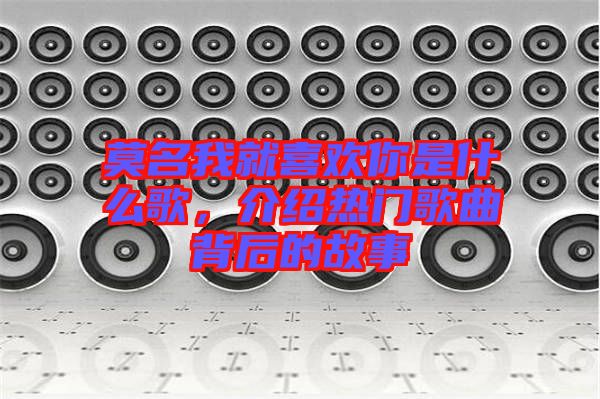 莫名我就喜歡你是什么歌，介紹熱門歌曲背后的故事