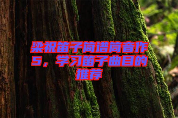 梁祝笛子簡譜筒音作5，學(xué)習(xí)笛子曲目的推薦