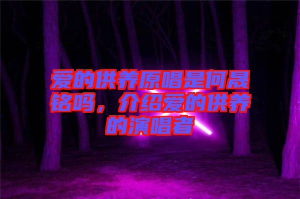愛(ài)的供養(yǎng)原唱是何晟銘嗎，介紹愛(ài)的供養(yǎng)的演唱者