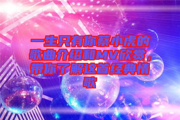 一生只有你蔡小虎的歌曲介紹和MV欣賞，帶你了解這首經(jīng)典情歌