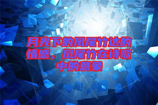 月光下的鳳尾竹達的情感，鳳尾竹在詩歌中的意象