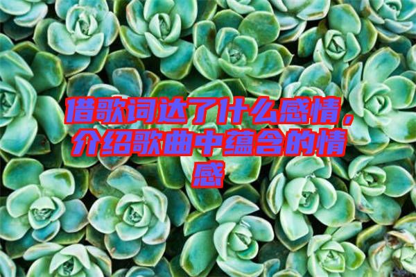 借歌詞達(dá)了什么感情，介紹歌曲中蘊(yùn)含的情感