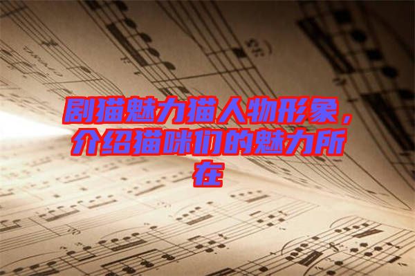 劇貓魅力貓人物形象，介紹貓咪們的魅力所在