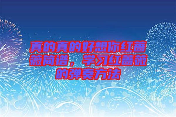 真的真的好想你紅薔薇簡譜，學(xué)習(xí)紅薔薇的彈奏方法
