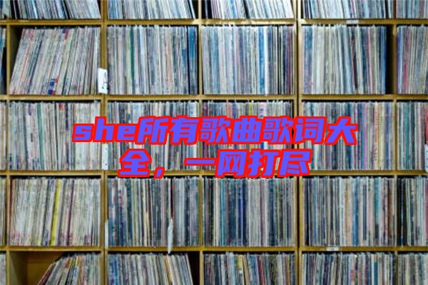 she所有歌曲歌詞大全，一網(wǎng)打盡