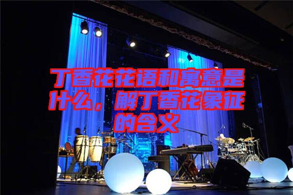 丁香花花語和寓意是什么，解丁香花象征的含義
