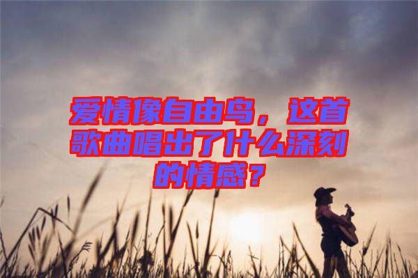 愛情像自由鳥，這首歌曲唱出了什么深刻的情感？