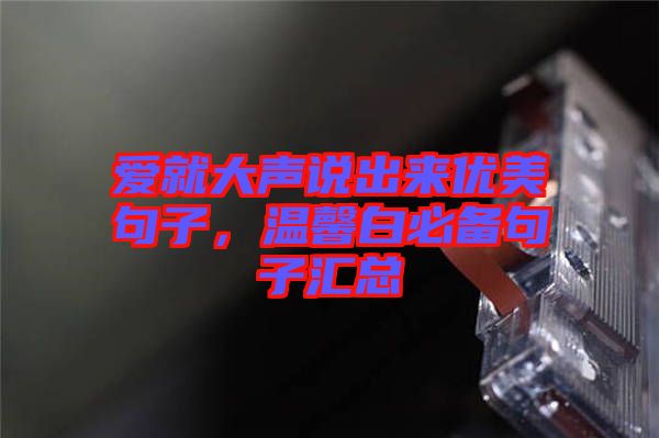 愛就大聲說出來優(yōu)美句子，溫馨白必備句子匯總