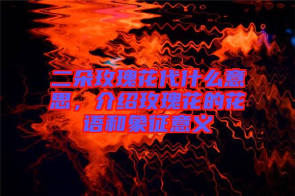 二朵玫瑰花代什么意思，介紹玫瑰花的花語和象征意義
