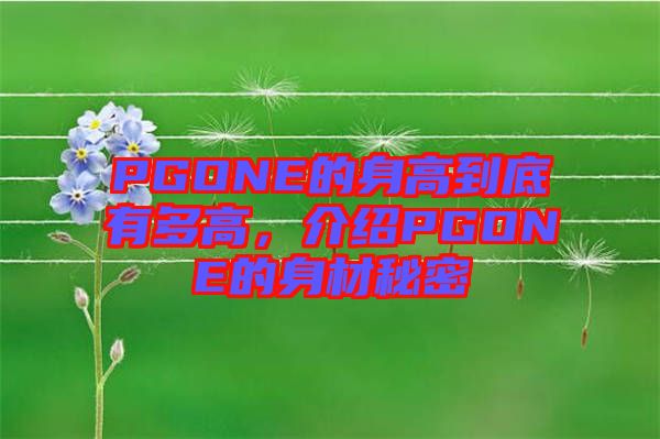 PGONE的身高到底有多高，介紹PGONE的身材秘密