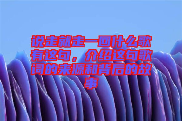 說走就走一回什么歌有這句，介紹這句歌詞的來源和背后的故事