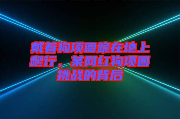 戴著狗項圈跪在地上爬行，某網(wǎng)紅狗項圈挑戰(zhàn)的背后