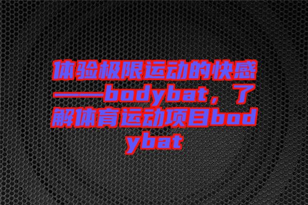 體驗極限運動的快感——bodybat，了解體育運動項目bodybat