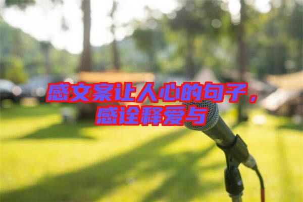 感文案讓人心的句子，感詮釋愛與