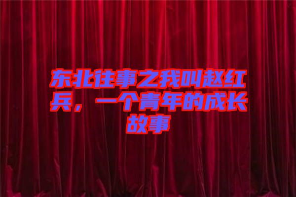 東北往事之我叫趙紅兵，一個(gè)青年的成長(zhǎng)故事