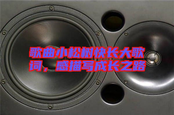 歌曲小松樹(shù)快長(zhǎng)大歌詞，感描寫(xiě)成長(zhǎng)之路