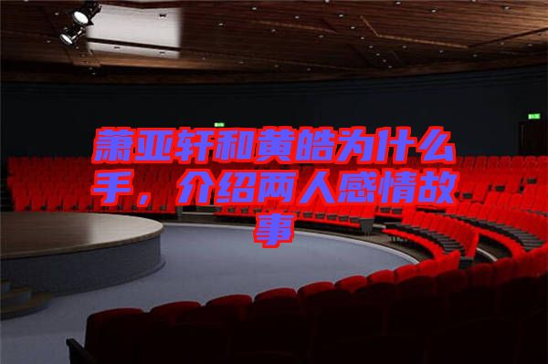 蕭亞軒和黃皓為什么手，介紹兩人感情故事