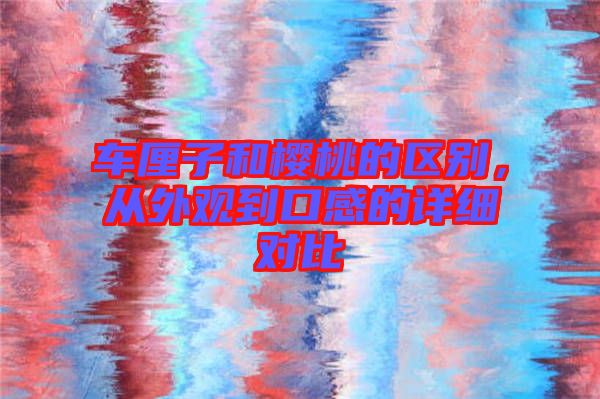 車(chē)?yán)遄雍蜋烟业膮^(qū)別，從外觀到口感的詳細(xì)對(duì)比