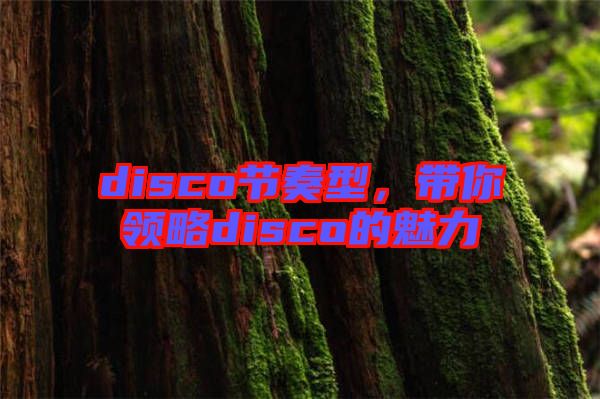 disco節(jié)奏型，帶你領(lǐng)略disco的魅力