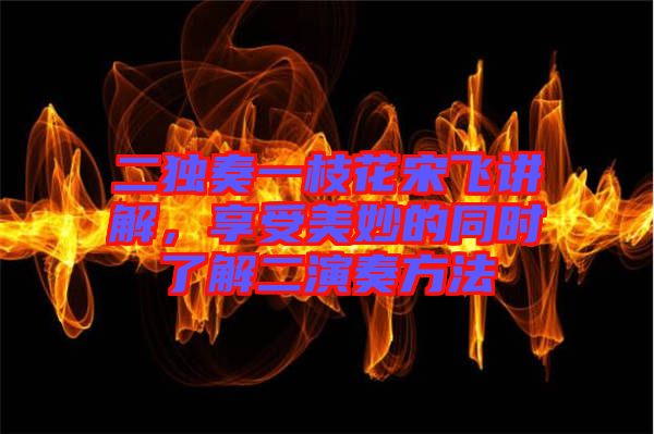 二獨(dú)奏一枝花宋飛講解，享受美妙的同時(shí)了解二演奏方法