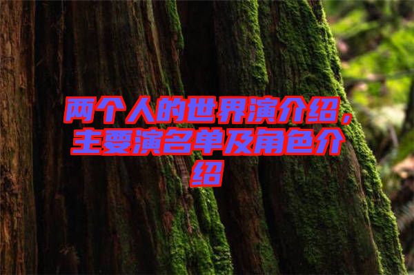 兩個人的世界演介紹，主要演名單及角色介紹