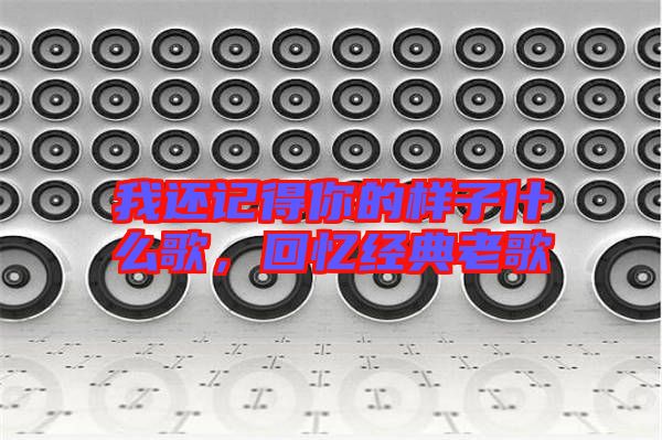 我還記得你的樣子什么歌，回憶經(jīng)典老歌