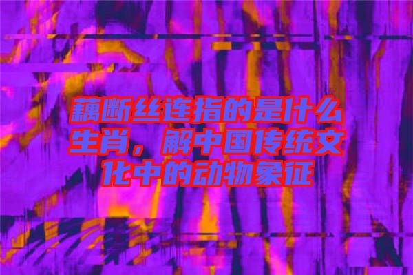 藕斷絲連指的是什么生肖，解中國傳統(tǒng)文化中的動物象征