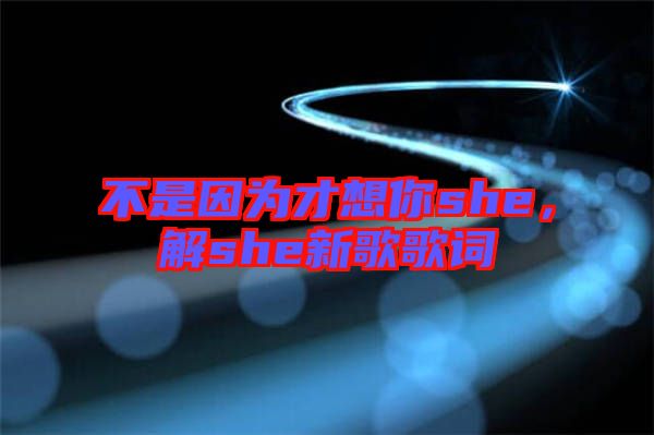 不是因?yàn)椴畔肽鉺he，解she新歌歌詞