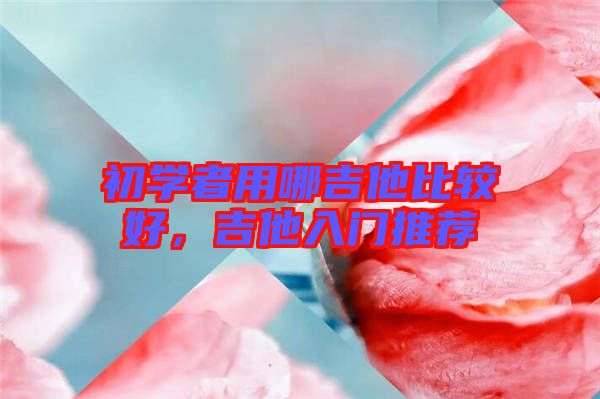 初學(xué)者用哪吉他比較好，吉他入門推薦