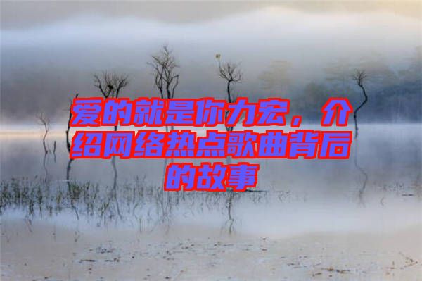 愛(ài)的就是你力宏，介紹網(wǎng)絡(luò)熱點(diǎn)歌曲背后的故事