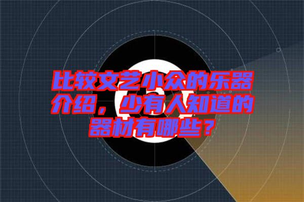 比較文藝小眾的樂器介紹，少有人知道的器材有哪些？