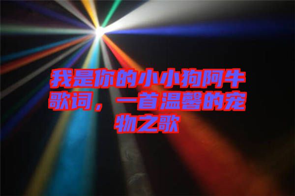 我是你的小小狗阿牛歌詞，一首溫馨的寵物之歌