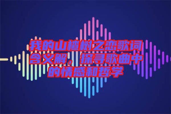 我的山楂樹之戀歌詞含義解，探尋歌曲中的情感和哲學(xué)