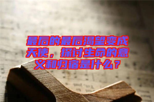 最后的最后渴望變成天使，探討生命的意義和歸宿是什么？