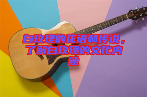 白玫瑰的花語和傳說，了解白玫瑰的文化內(nèi)涵