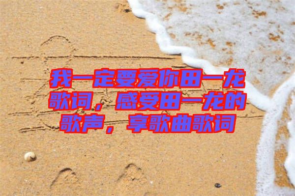 我一定要愛你田一龍歌詞，感受田一龍的歌聲，享歌曲歌詞