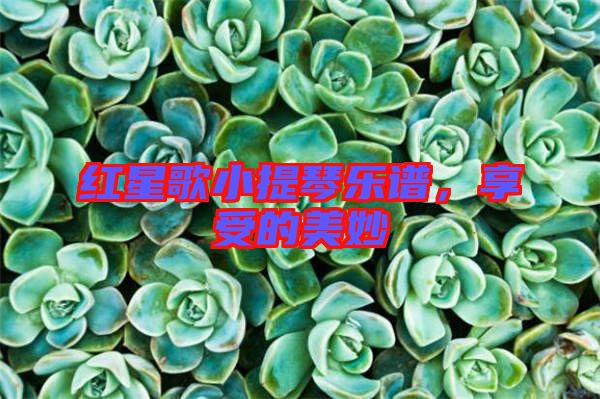 紅星歌小提琴樂譜，享受的美妙